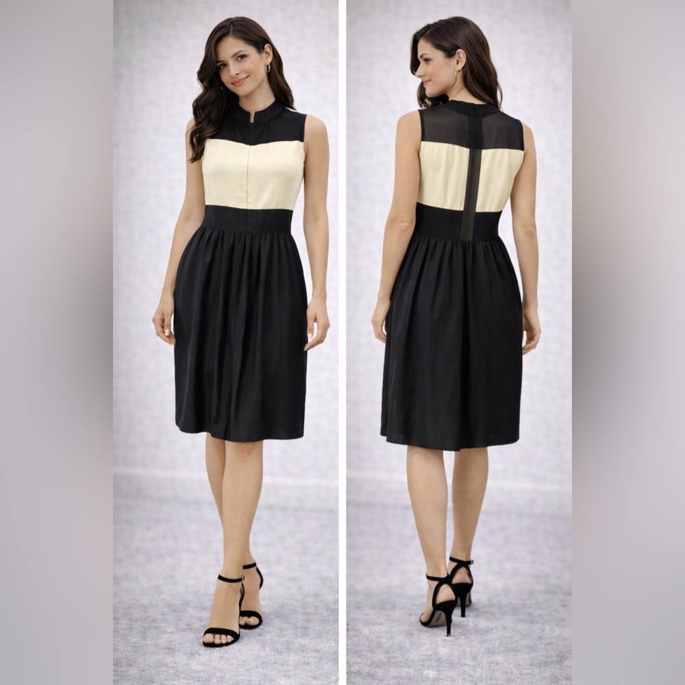 Anthropologie Parker Silk Dress XS Extra Small Black Ivory Mesh Panel A Line